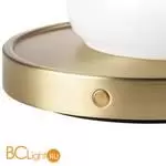 Настольная лампа Lightstar Alfa new 745933 - Фото 1