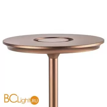 Настольная лампа Lightstar Alfa new 745901 - Фото 1