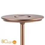 Настольная лампа Lightstar Alfa new 745901 - Фото 1