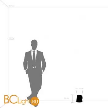 Настольная лампа Lightstar Alfa new 745923 - Фото 1