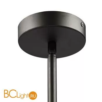 Подвесной светильник Lightstar Amerigo 746048 - Фото 2