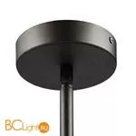 Подвесной светильник Lightstar Amerigo 746068 - Фото 2