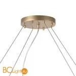 Люстра Lightstar Bari 815263 - Фото 1