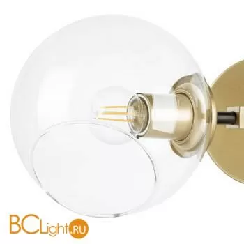 Бра Lightstar Beta 785623 - Фото 1