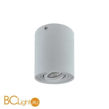 Спот Lightstar Binoco 052019