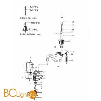 Бра Lightstar Campana 716624 - Фото 3