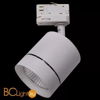 Трековый светильник Lightstar Canno 301592