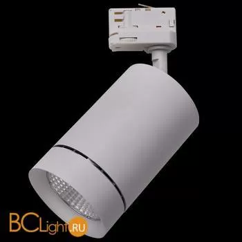 Трековый светильник Lightstar Canno 303594
