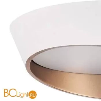 Потолочный светильник Lightstar Celesta new 809456 - Фото 0