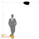 Потолочный светильник Lightstar Celesta new 809456 - Фото 1