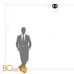 Потолочный светильник Lightstar Celesta new 809000 - Фото 0