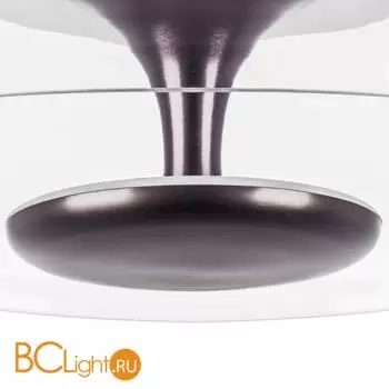 Потолочный светильник Lightstar Celesta new 809200 - Фото 1