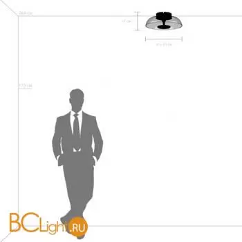 Потолочный светильник Lightstar Celesta new 809200 - Фото 2