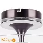 Потолочный светильник Lightstar Celesta new 809200 - Фото 0