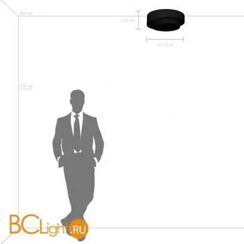 Потолочный светильник Lightstar Celesta new 809416 - Фото 0