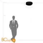 Потолочный светильник Lightstar Celesta new 809416 - Фото 0