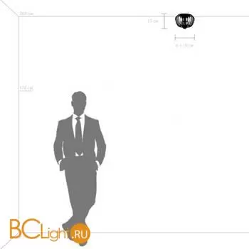 Потолочный светильник Lightstar Celesta new 809003 - Фото 2