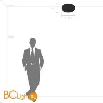 Потолочный светильник Lightstar Celesta new 809316 - Фото 1