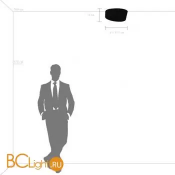 Потолочный светильник Lightstar Celesta new 809356 - Фото 0