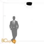 Потолочный светильник Lightstar Celesta new 809356 - Фото 0