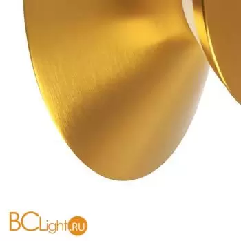 Настенный светильник Lightstar Celesta new 809103 - Фото 1