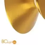 Настенный светильник Lightstar Celesta new 809103 - Фото 1