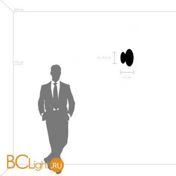 Настенный светильник Lightstar Celesta new 809012 - Фото 0