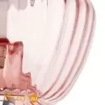 Потолочный светильник Lightstar Celesta new 809002 - Фото 2