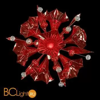 Настенный светильник Lightstar Celesta 893622