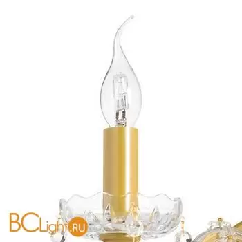 Бра Lightstar Champa 775623 - Фото 1