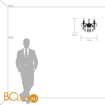 Бра Lightstar Champa 775623 - Фото 0