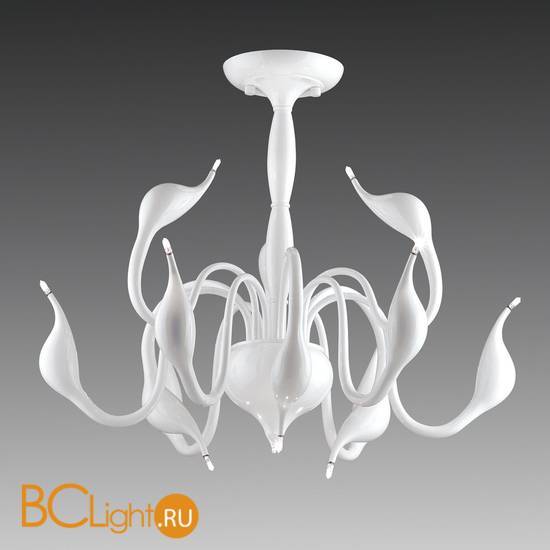 Потолочная люстра Lightstar Cigno collo 751026