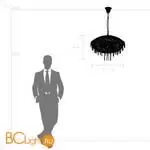 Люстра Lightstar Classic 700120 - Фото 0