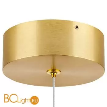 Подвесной светильник Lightstar Colore 805403 - Фото 1