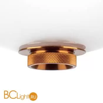 Подвесной светильник Lightstar Colore 805402 - Фото 3
