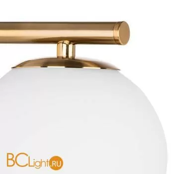 Бра Lightstar Croco 815513 - Фото 0