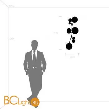 Настенный светильник Lightstar Croco 815537 - Фото 0