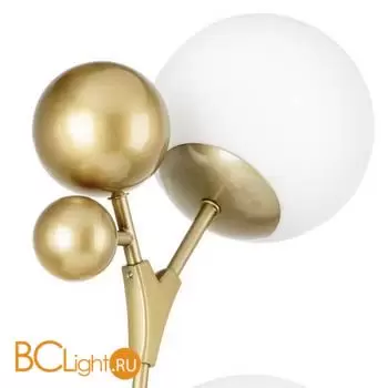 Настенный светильник Lightstar Croco 815533 - Фото 2