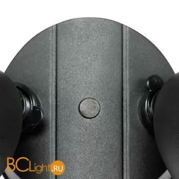 Светильник светодиодный уличный с датчиком движения Lightstar Diva 374447 - Фото 2