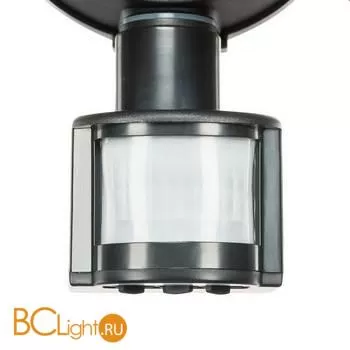 Светильник светодиодный уличный с датчиком движения Lightstar Diva 374437 - Фото 1