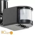 Светильник светодиодный уличный с датчиком движения Lightstar Diva 374337 - Фото 3