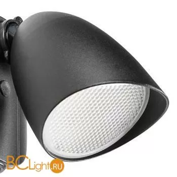 Светильник светодиодный уличный настенный Lightstar Diva 374137 - Фото 1