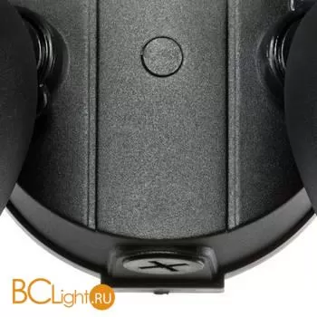 Светильник светодиодный уличный настенный Lightstar Diva 374247 - Фото 1