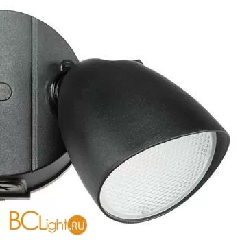 Светильник светодиодный уличный настенный Lightstar Diva 374237 - Фото 1