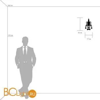 Бра Lightstar Elegante 708612 - Фото 0