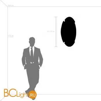 Настенный светильник Lightstar Emisfero 737616 - Фото 0