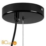 Подвесной светильник Lightstar Erbareo 799010 - Фото 2