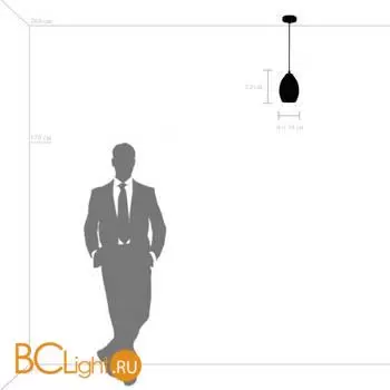 Подвесной светильник Lightstar Erbareo 799014 - Фото 3