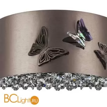 Настенный светильник Lightstar Faraone 701611 - Фото 1