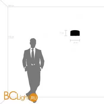 Настенный светильник Lightstar Faraone 701611 - Фото 0